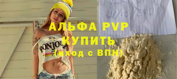 твердый Козельск
