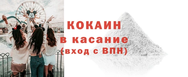 крисы Кодинск