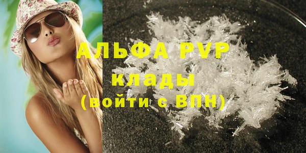 гидра Козловка