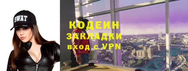 твердый Козельск
