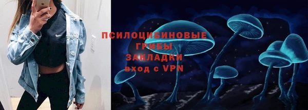 твердый Козельск