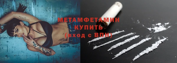 гидра Козловка