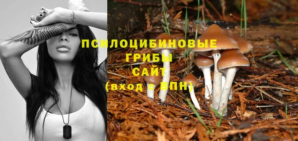 крисы Кодинск