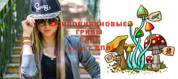метадон Коряжма