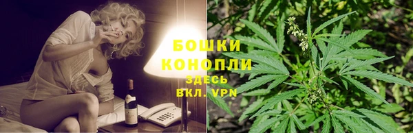 твердый Козельск