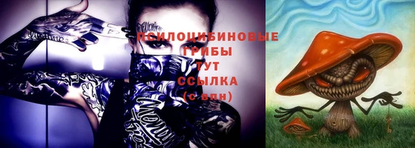 метадон Коряжма