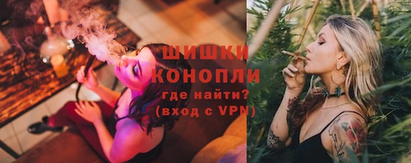 гидра Козловка
